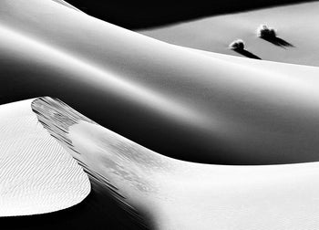 Canvastavla - Desert