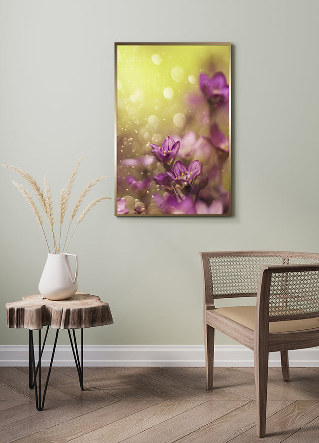 Poster - Lovelly purple