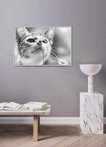 Poster - Pure