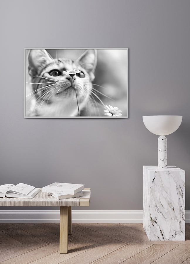 Poster - Pure