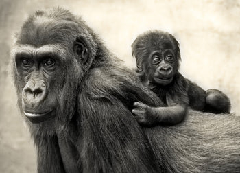 Canvastavla - Father and Son