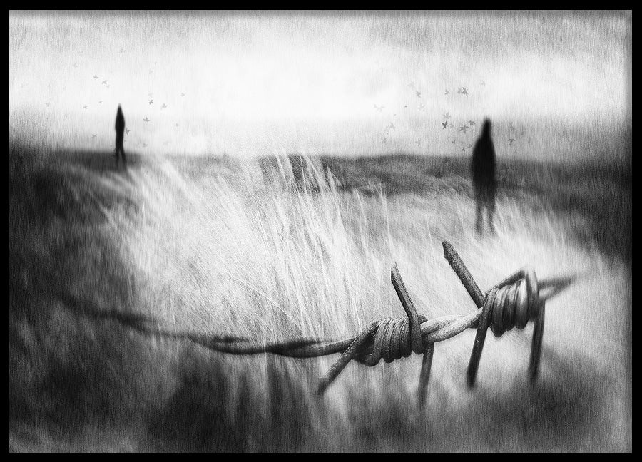 Poster - Wire
