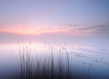 Canvastavla - Lake
