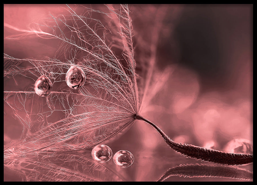 Poster - Plume