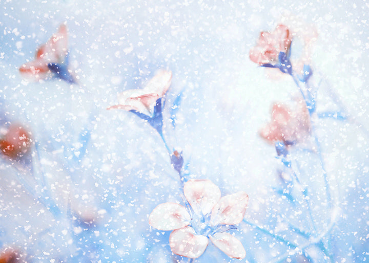 Tavla - Snowflake