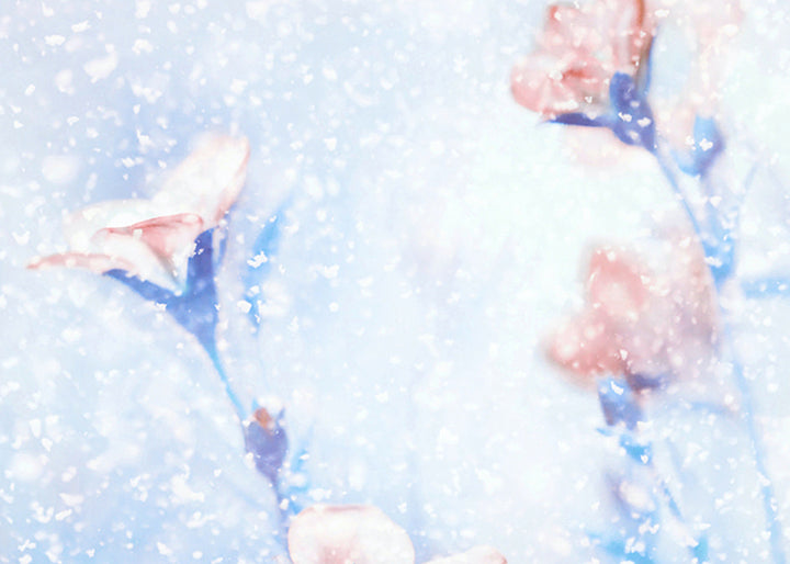 Tavla - Snowflake