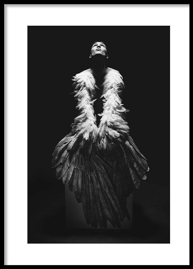 Poster - Aero