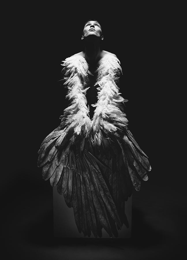 Poster - Aero