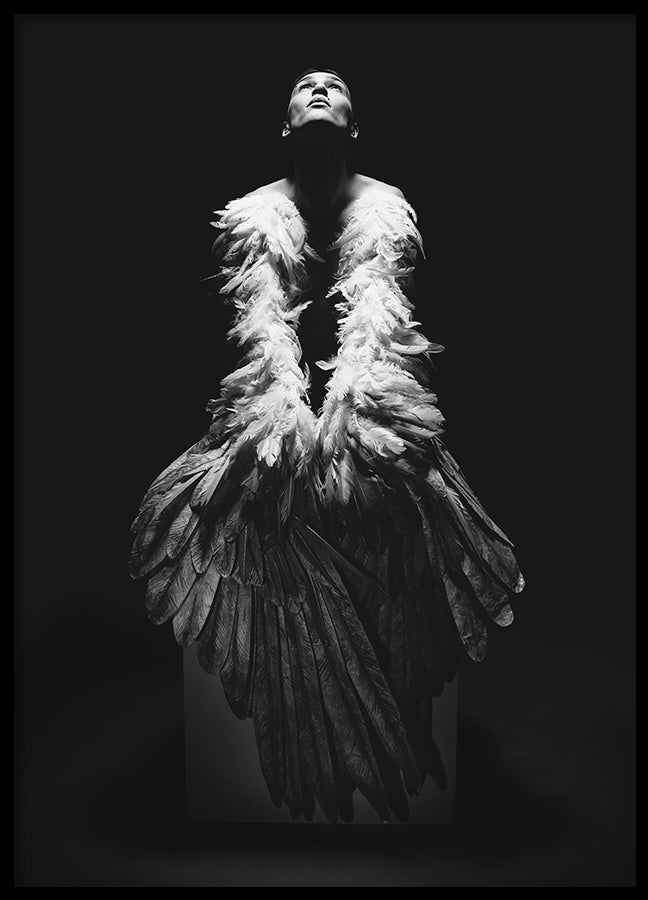 Poster - Aero
