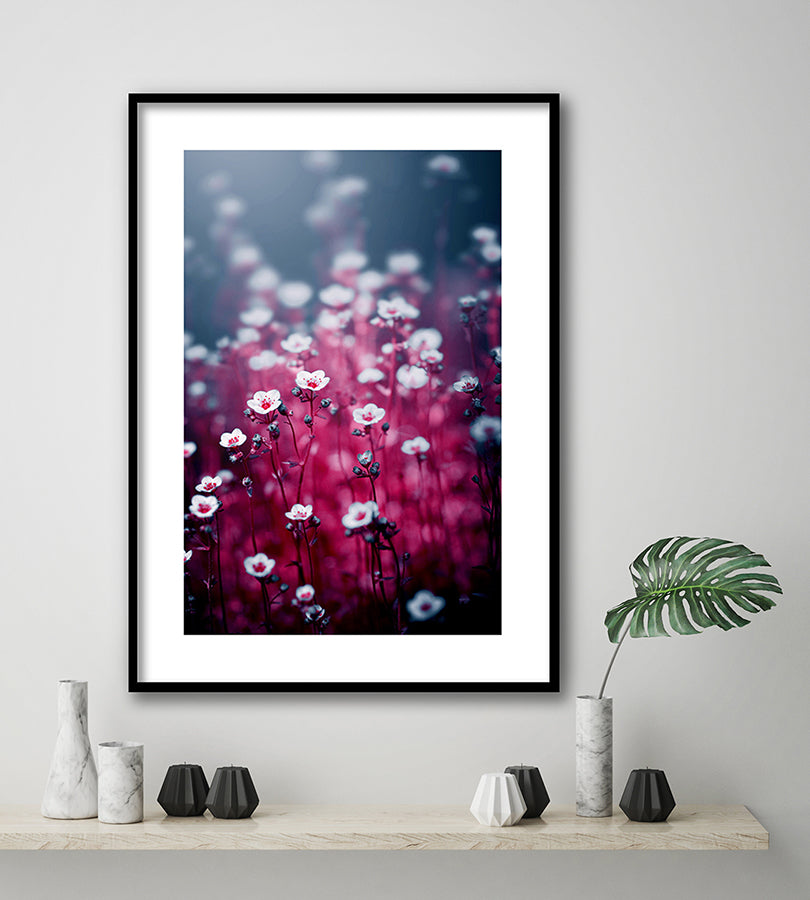 Poster - Royal flowers