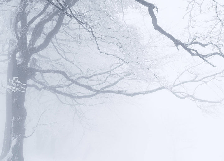 Canvastavla - In The Winter Forest