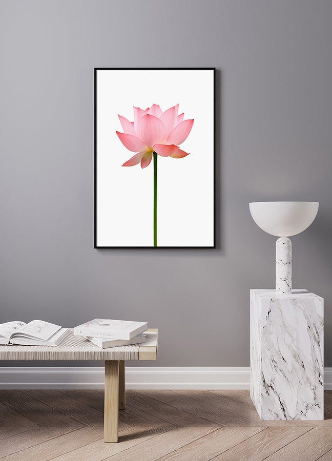 Poster - Flower