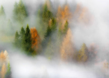 Canvastavla - Winter's Vail