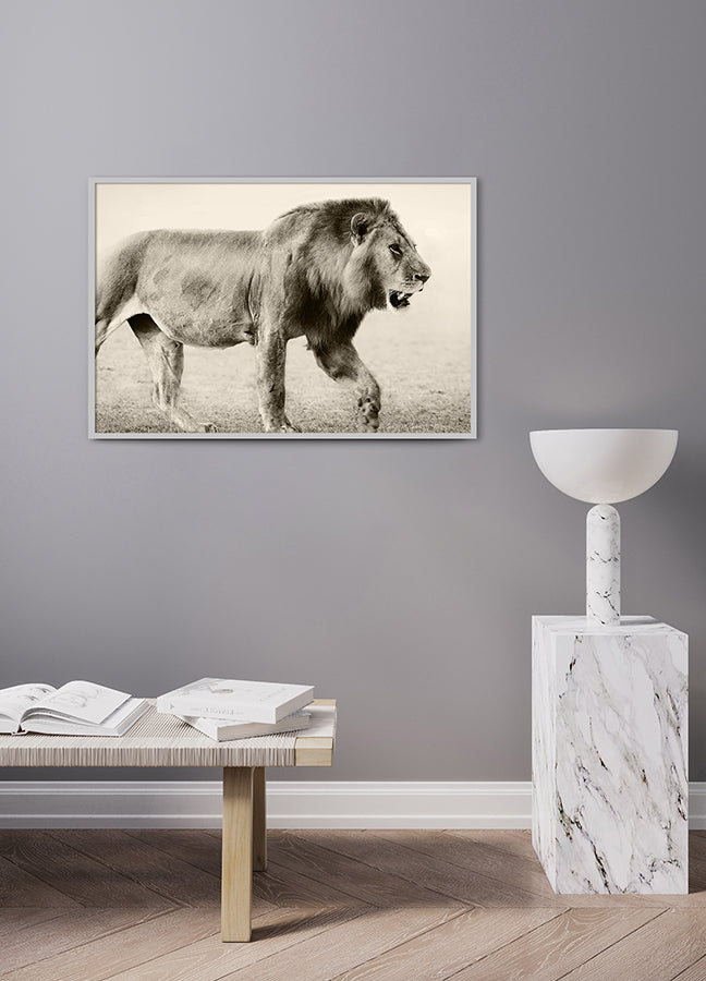 Poster - Botswana
