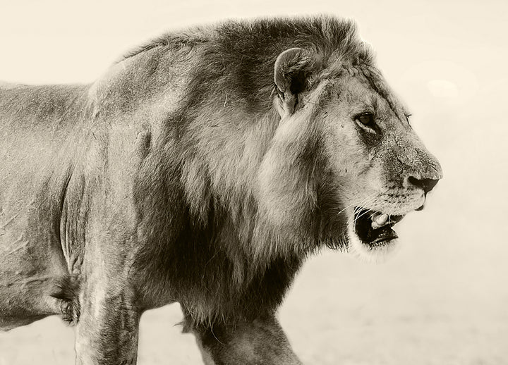 Tavla - Botswana