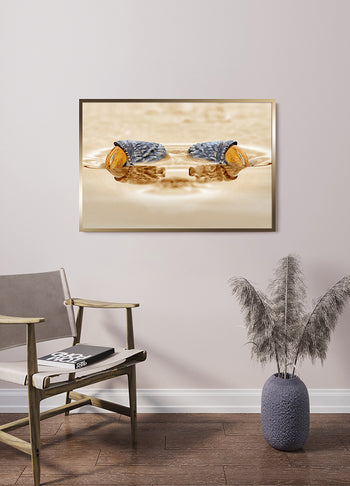 Poster - Crocodylinae