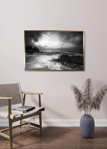 Poster - Rushes in the sea