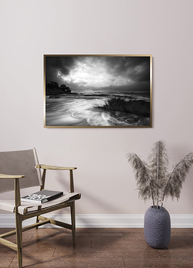 Poster - Rushes in the sea