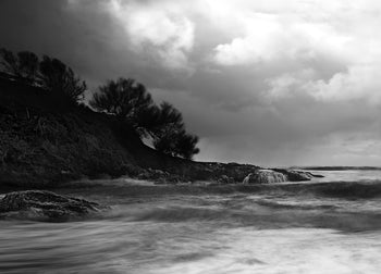 Canvastavla - Rushes In The Sea