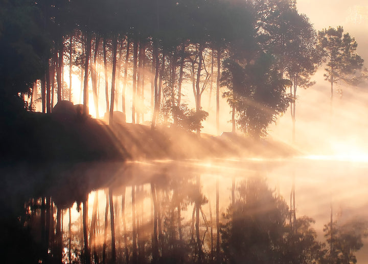 Canvastavla - Nature as a mirror
