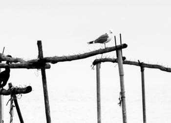 Canvastavla - A Quiet Place