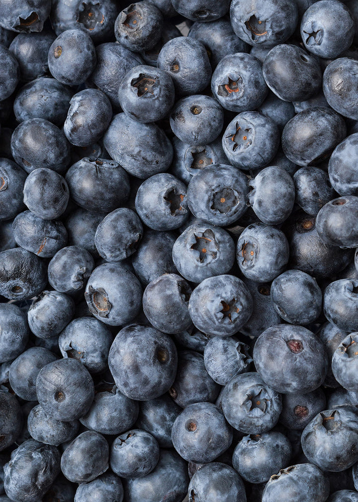 Canvastavla - Blueberry