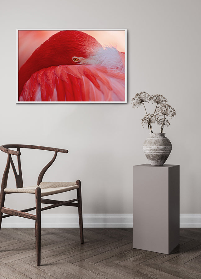 Poster - Feathers