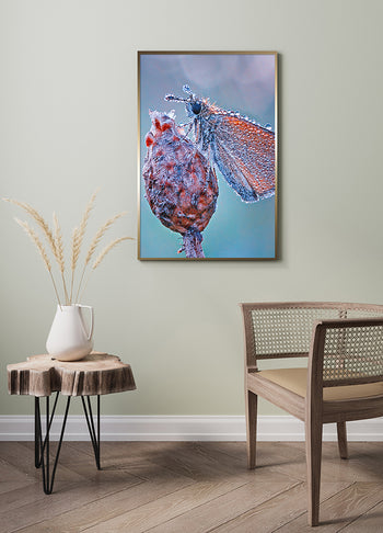 Poster - Drop of Life