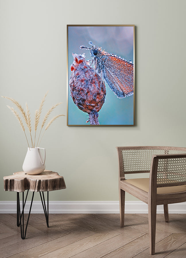 Poster - Drop of Life