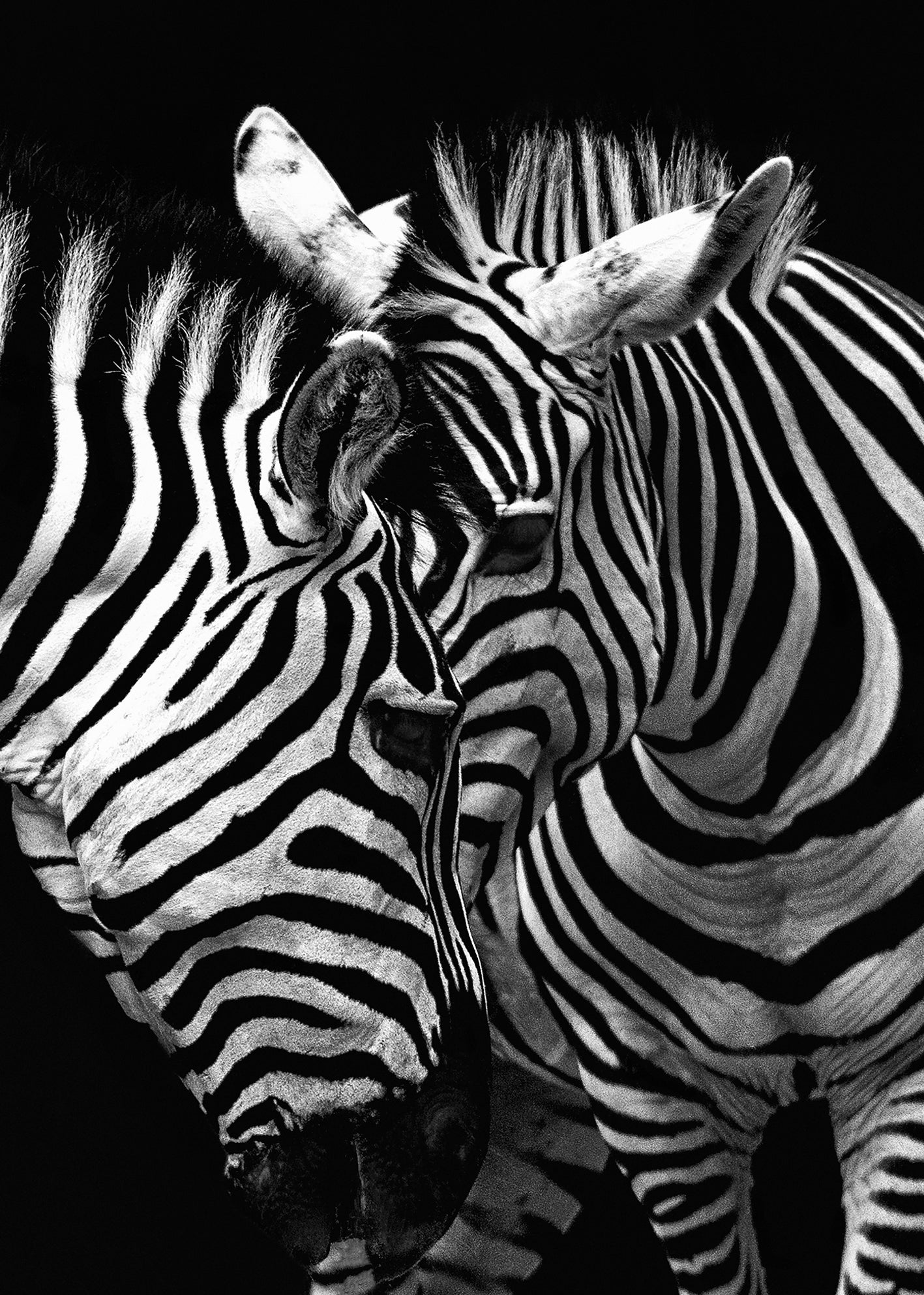Ljuddämpande tavla - Stripes