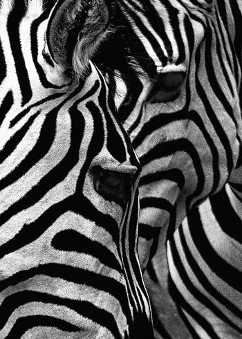 Ljuddämpande tavla - Stripes
