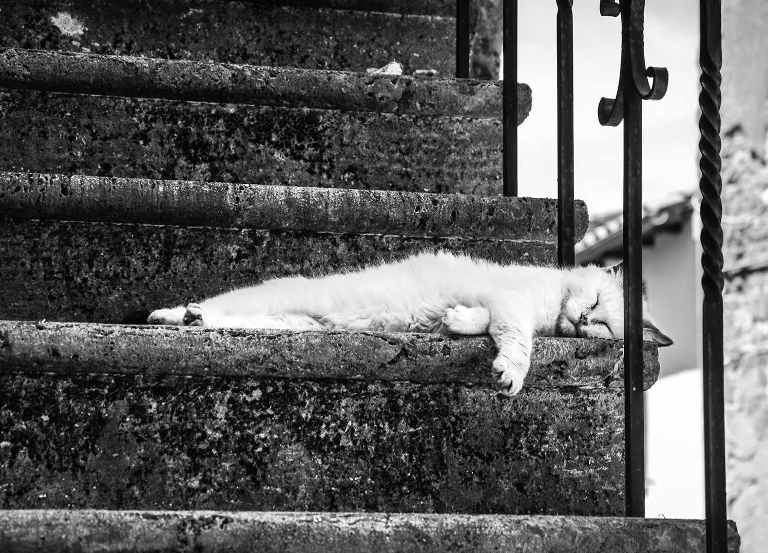 Canvastavla - Slow Life