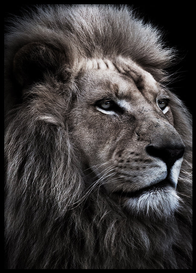 Poster - Beast