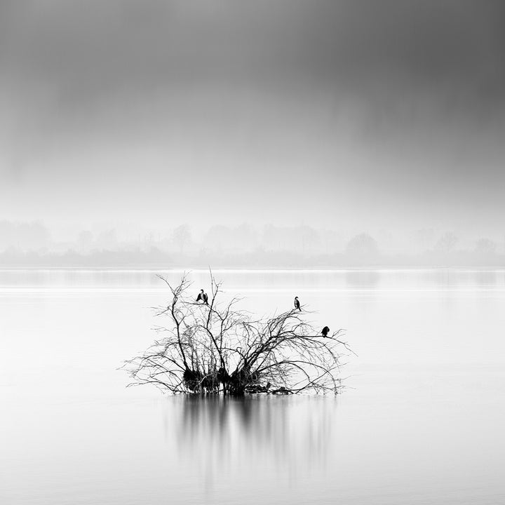 Canvastavla - Silence