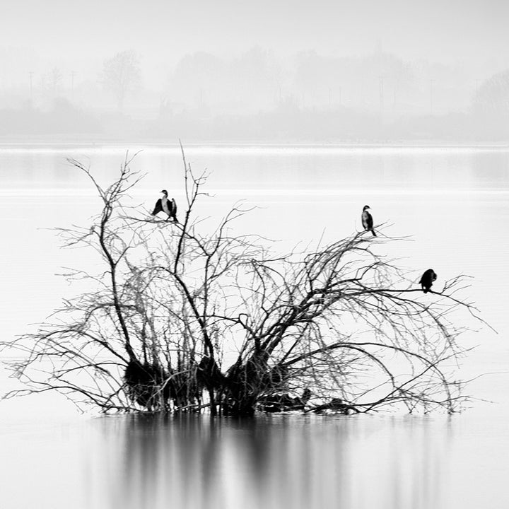 Canvastavla - Silence