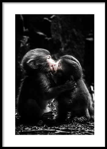 Poster - a little love story