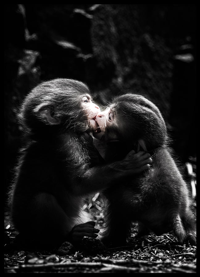 Poster - a little love story