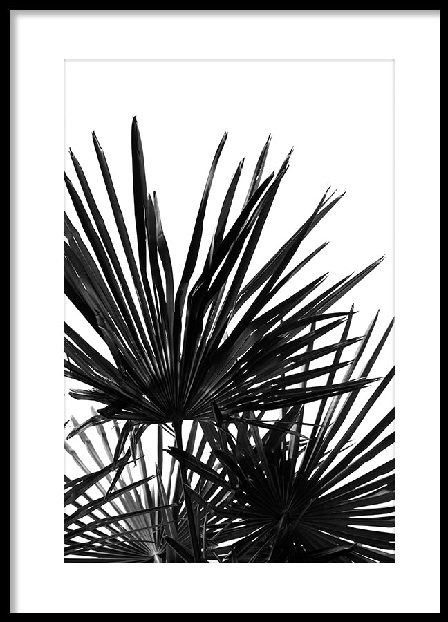 Poster - Windless