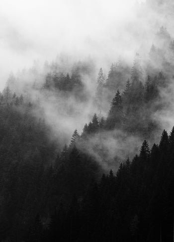 Poster - Misty