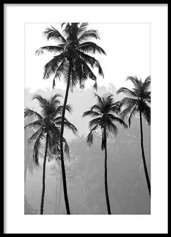 Poster - Maui