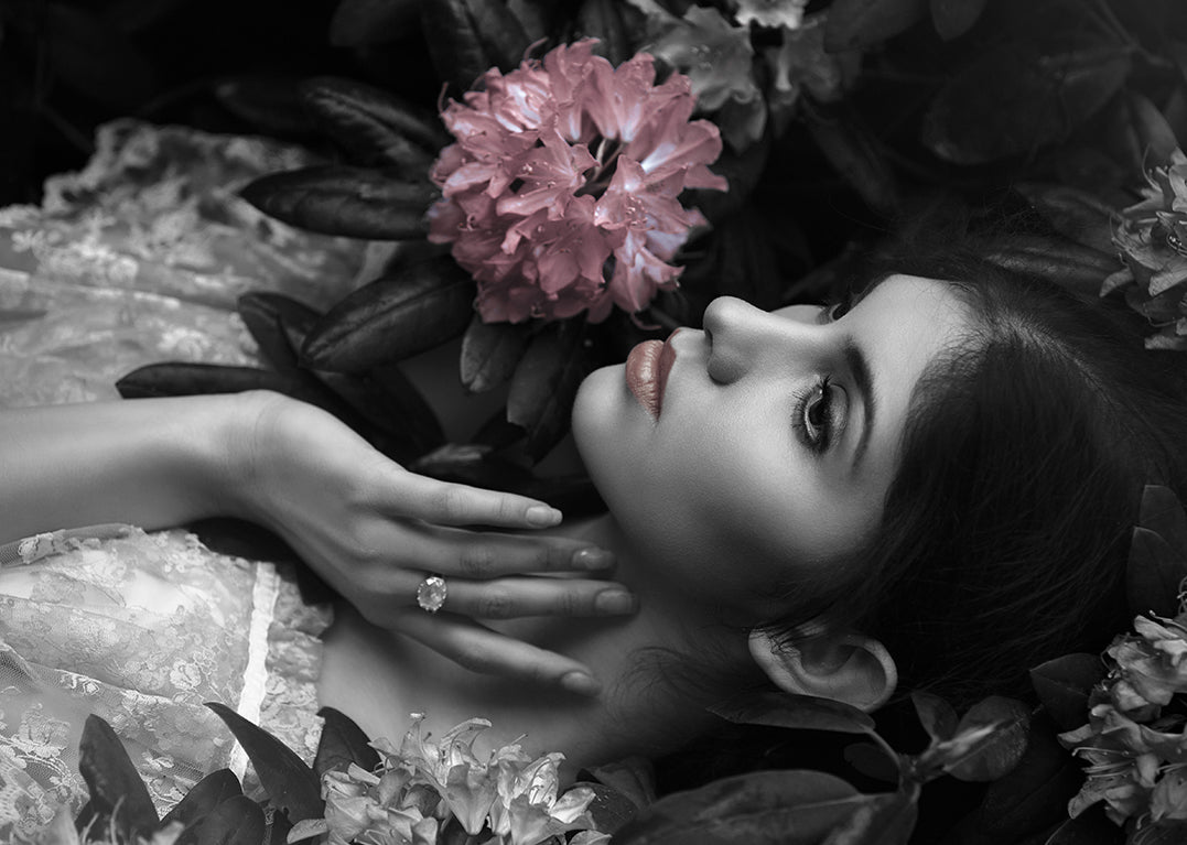 Canvastavla - Lily of the Nile
