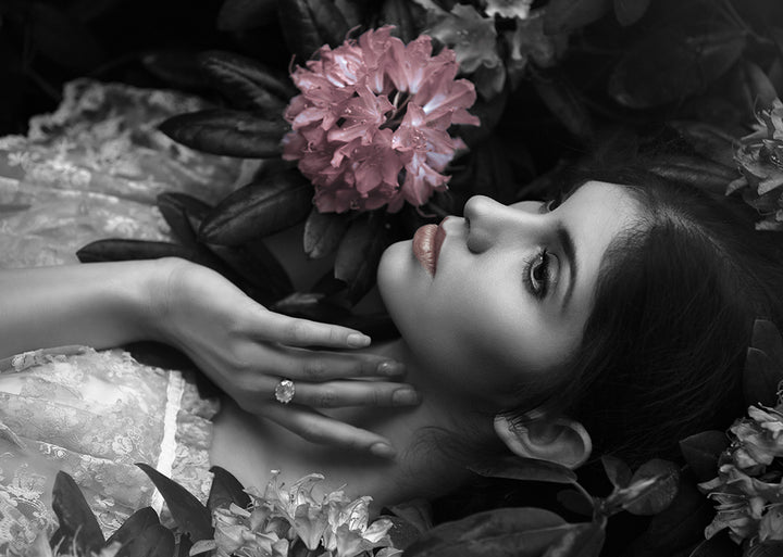 Canvastavla - Lily of the Nile