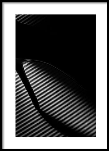 Poster - Talons