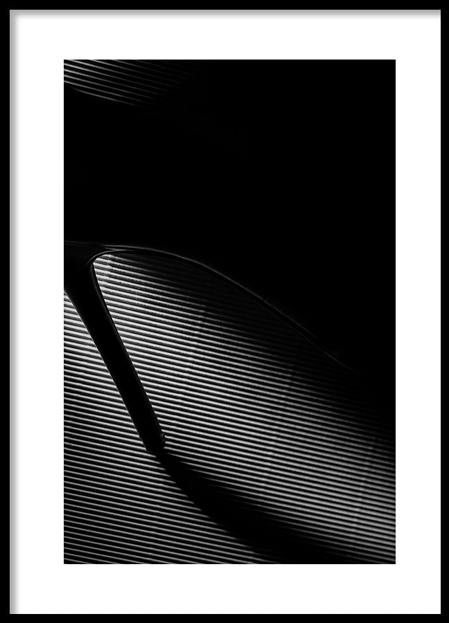 Poster - Talons