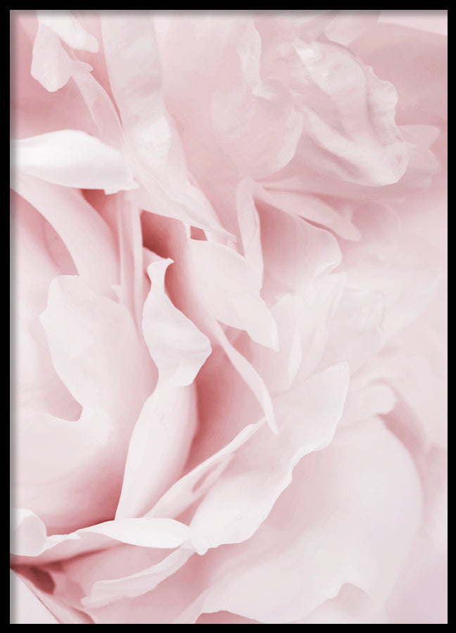 Poster - Garden