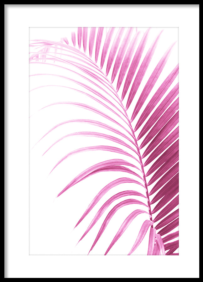 Poster - Brazen