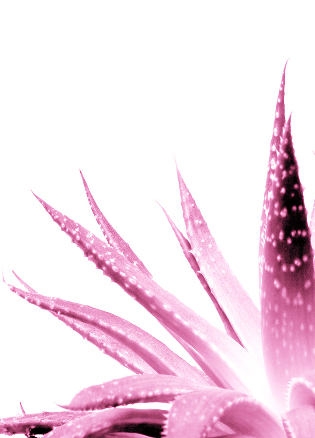 Poster - Spring Leafs