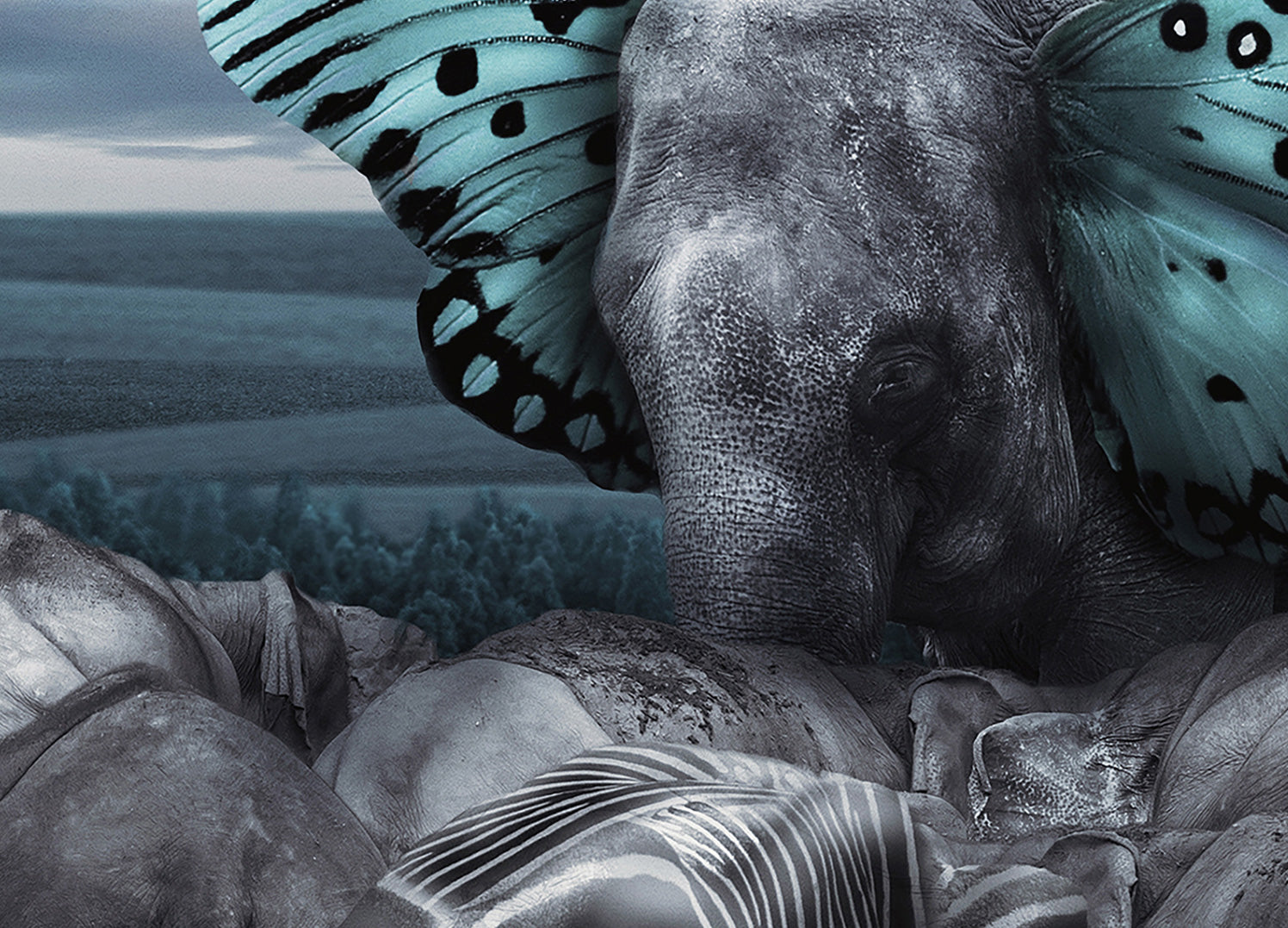 Canvastavla - Fly on Wings of Dreams