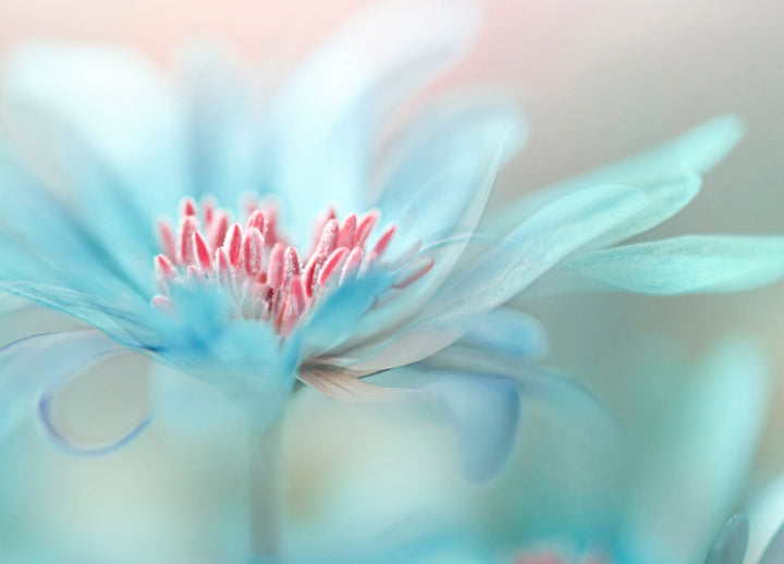 Canvastavla - Blue Splendor
