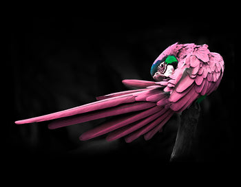 Canvastavla - Rosy Macaw